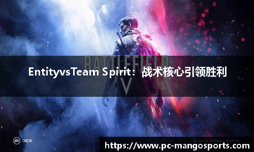 EntityvsTeam Spirit：战术核心引领胜利