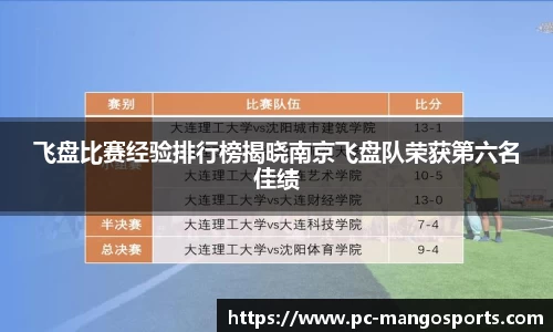 飞盘比赛经验排行榜揭晓南京飞盘队荣获第六名佳绩