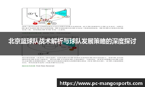 北京篮球队战术解析与球队发展策略的深度探讨