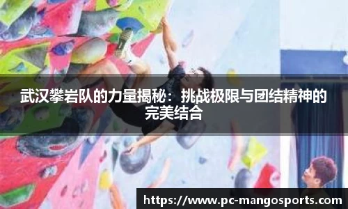 武汉攀岩队的力量揭秘：挑战极限与团结精神的完美结合